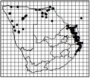 Ficus sycomorus subsp. sycomorus, distribution.