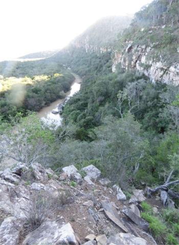 The sheer cliffs of the Keiskamma River, habitat of Bulbine keiskammaensis