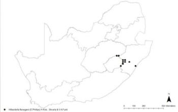 Distribution map for Hilliardiella flanaganii 
