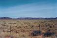 Nama-Karoo vegetation north of Groblershoop, Northern Cape