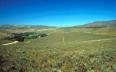 Renosterveld on Fairfield Farm, Napier, Western Cape.