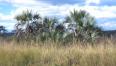 Tembe Elephant Reserve